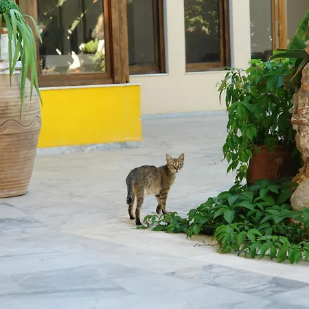 Verdelis 에피다우로스